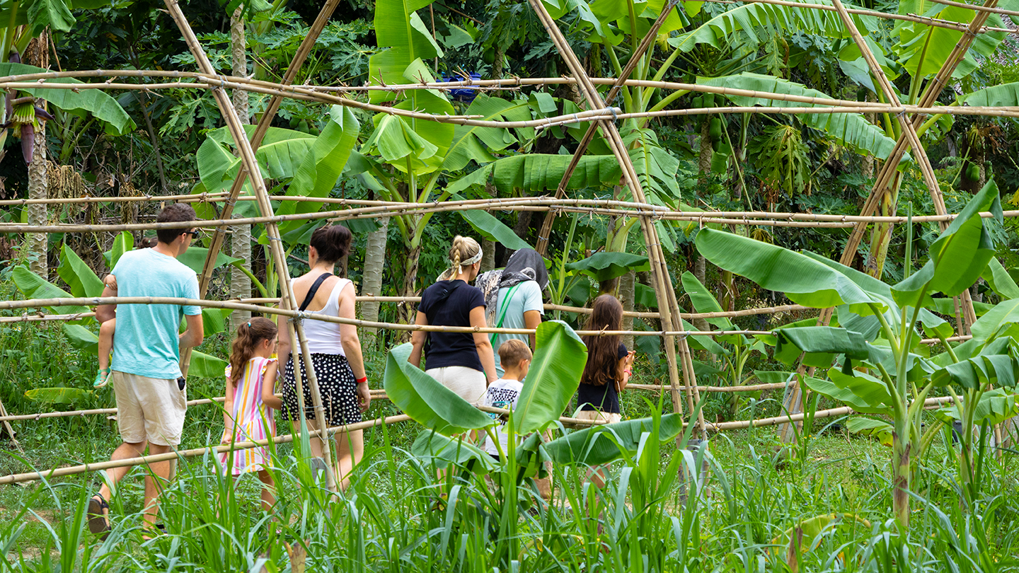 Group of visitors walking through Koh Samui Sanctuary amid bamboo and banana trees