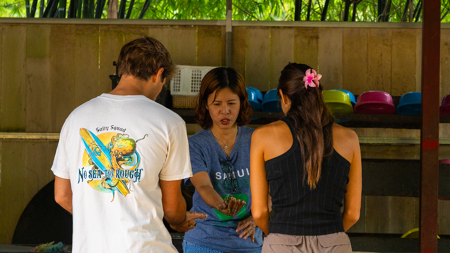 Hands-on elephant experience at Koh Samui Sanctuary