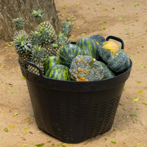 Basket of Mixed Fruits